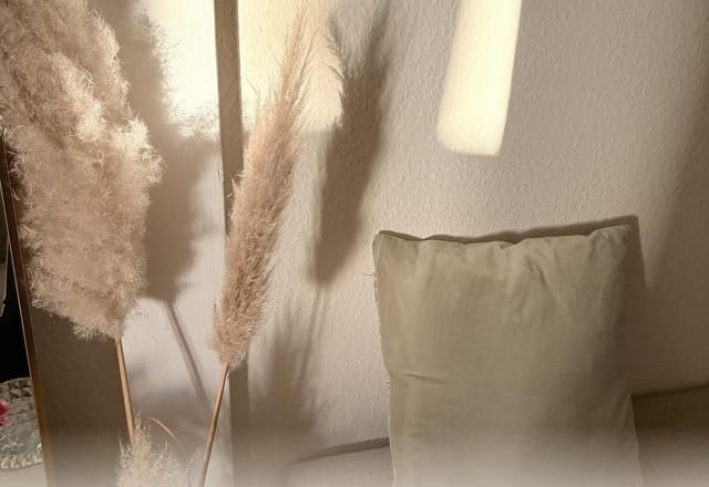 Pampasgras und ein Kissen im Studio, Abendsonne an der Wand.